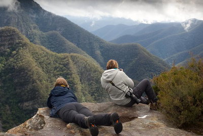 Inside the Greater Blue Mountains World Heritage - A Private Wildlife Safari Overnight