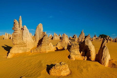 Pinnacle Desert Sunset And Stargazing With Dinner - Attractions 3