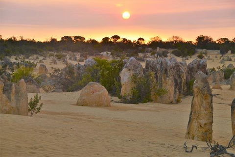 Pinnacle Desert Sunset And Stargazing With Dinner - Attractions 5