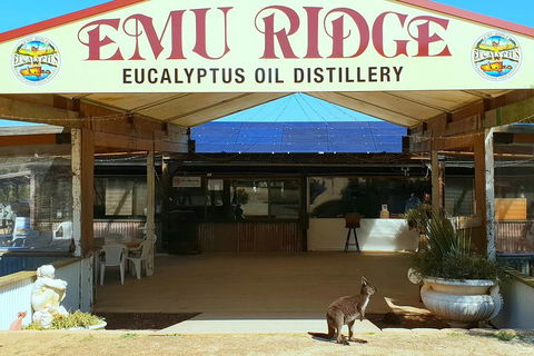 Full-Day Kangaroo Island Safari From Penneshaw - Attractions 2