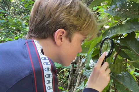 Let's Go Buggin & Let's Go Shroomin - Photography & Nature Walking Tours - Attractions 3