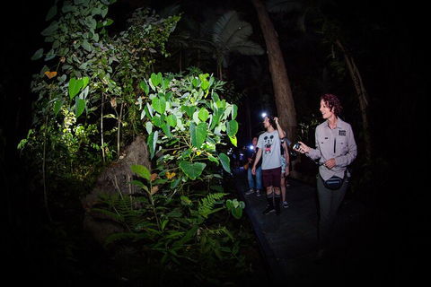 Let's Go Buggin & Let's Go Shroomin - Photography & Nature Walking Tours - Attractions 4