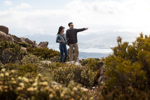 Mt Wellington Tour And MONA Admission - Attractions 5