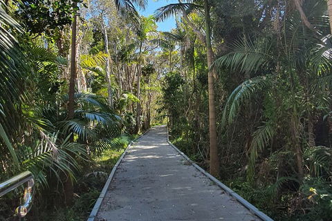 Half Day Guided Small Group Walk - Attractions 3