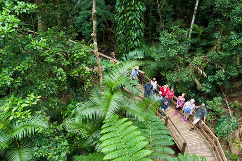 2 Day Daintree Rainforest, Cape Tribulation And Outback Chillagoe Tour - Attractions 3