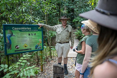 2 Day Daintree Rainforest, Cape Tribulation And Outback Chillagoe Tour - Attractions 5