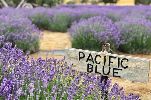 Kangaroo Island Food And Wine Trail Tour - Attractions Las Vegas 0