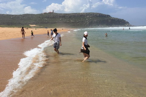 Small-Group Sydney's Northern Beaches And Ku-ring-gai National Park Bus Tour - Attractions 5