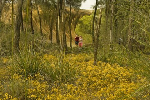 2-Day Wave Rock, York, Wildflowers & Aboriginal Experience - Attractions 2