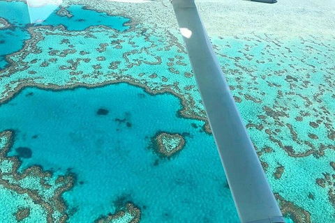 Whitsunday Islands 1-Hour Reef Scenic Helicopter Tour - Attractions 3