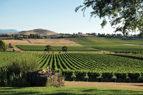 Yarra Valley 2-6 Guests Premium Food And Wine Inc Lunch At Dominique Portet - Attractions 2