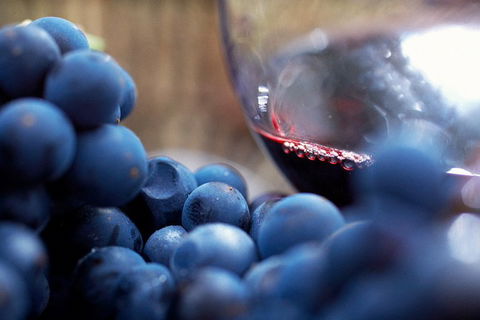 Yarra Valley 2-6 Guests Premium Food And Wine Inc Lunch At Dominique Portet - Attractions 5