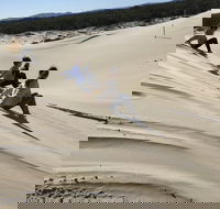 Port Stephens Bush Beach and Sand Dune 4WD Tag-Along Tour - Attractions