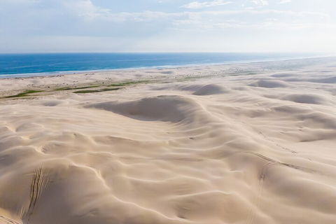 Port Stephens Bush, Beach And Sand Dune 4WD Passenger Tour - Attractions 2