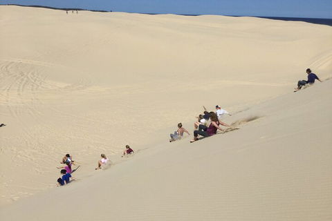 Port Stephens Bush, Beach And Sand Dune 4WD Passenger Tour - Attractions 4