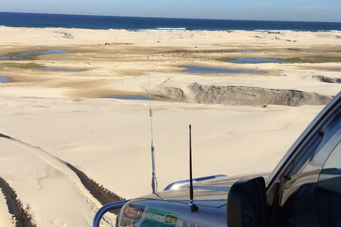Port Stephens Bush, Beach And Sand Dune 4WD Passenger Tour - Attractions 5