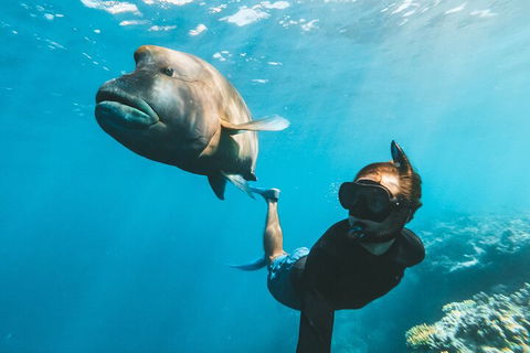 Great Barrier Reef Day Cruise To Reefworld - Attractions 3
