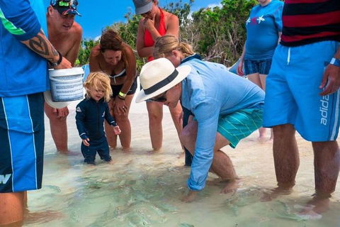 Whitehaven Beach And Hamilton Island Cruise - Attractions 1