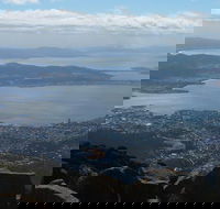 Mt Wellington Tour and MONA Admission - Attractions