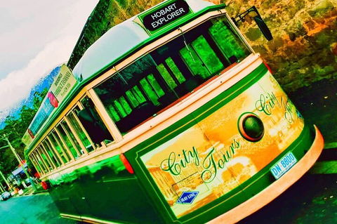 Hobart Half-Day Sightseeing Coach Tram Tour - Attractions 5
