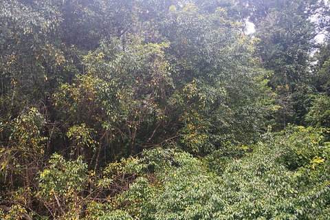 Historic Village Herberton And Tableland Tour - Attractions 4