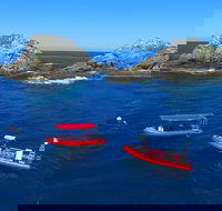 3-Hour Byron Bay Certified Scuba Diving Tour - Attractions