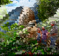 3 Day Cape Tribulation  Cooktown Tour from Cairns or Port Douglas - Attractions