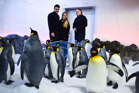 Penguin Passport At SEA LIFE Melbourne Aquarium - Attractions 4