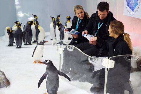 Penguin Passport At SEA LIFE Melbourne Aquarium - Attractions 5