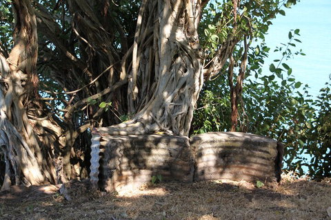 Darwin Walking Tour: World War II Reflections - Attractions 3