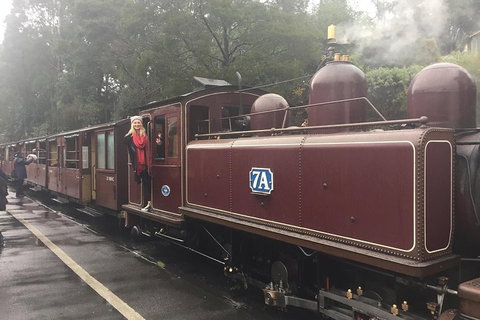 Puffing Billy, Moonlit Sanctuary & Penguins Day Tour - See Attractions 4