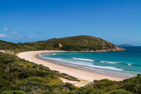 3 Day Great Ocean Road, Phillip Island & Wilsons Promontory Ultimate Tour - Attractions 4