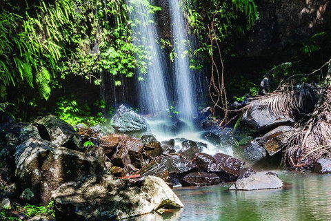 Full Day Small Group Luxury Tour To Tamborine Mountain - Attractions 0