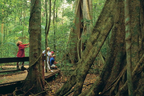 Full Day Small Group Luxury Tour To Tamborine Mountain - Attractions 1