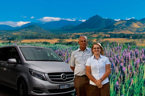 Full Day Small Group Luxury Tour To Tamborine Mountain - Attractions 3