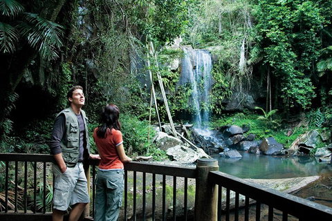 Full Day Small Group Luxury Tour To Tamborine Mountain - Attractions 4