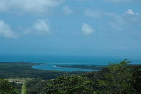 Cape Tribulation, Daintree Rainforest And Wildlife Tour - Attractions 1