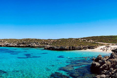 Rottnest Island Roundtrip Fast Ferry From Hillarys Boat Harbour - Attractions 4