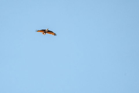 North Stradbroke Island Day Trip From Brisbane - See Attractions 4