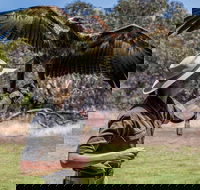 One Day Kangaroo Island Sip  See tour with return ferry transfers from Adelaide - Attractions