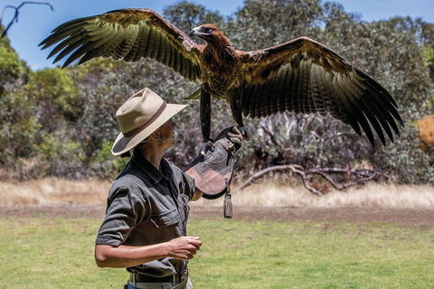 One Day Kangaroo Island Sip & See Tour With Return Ferry Transfers From Adelaide - Attractions 0