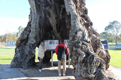 Barossa And Hahndorf Day Trip From Adelaide Including Wine Tasting And Lunch - Attractions 1