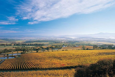 Melbourne City Tour And Half Day Yarra Valley In One Day - Attractions 5