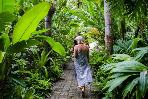 Cairns City Sights And Surrounds Tour - Attractions 2