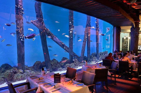 Cairns Aquarium And Small Group City Sightseeing Tour - Attractions 4