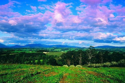 CHEVY CONVERTIBLE Package For 4 -Wine Lunch Cheese & Chocolate From Yarra Valley - Attractions 4