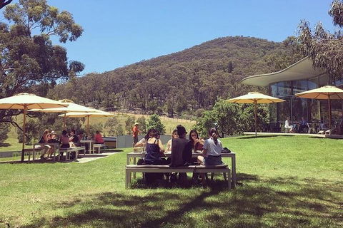 Yarra Valley Wine And Cider Tours By Classic Convertibles From Melbourne - See Attractions 0