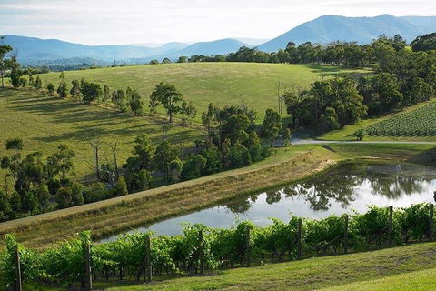 Yarra Valley Wine And Cider Tours By Classic Convertibles From Melbourne - See Attractions 1