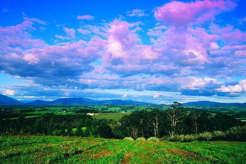 Yarra Valley Wine And Cider Tours By Classic Convertibles From Melbourne - See Attractions 3
