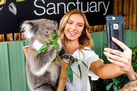 Moonlit Sanctuary Wildlife Conservation Park Daytime General Entry Ticket - Attractions 4